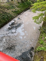 弘前城2-11.jpg