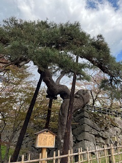 弘前城2-12.jpg