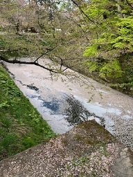 弘前城2-9.jpg