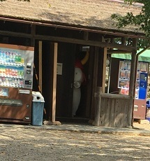 彦根城ー4.jpg