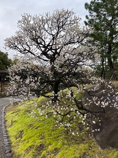 徳川園10.jpg