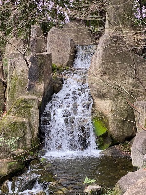 徳川園6.jpg