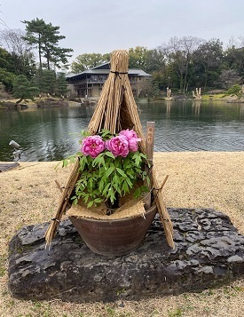 徳川園9.jpg