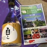 掛川城7.jpg