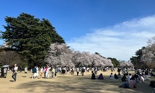 新宿御苑3-2.jpg