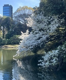 新宿御苑3-5.jpg