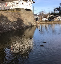 新発田2.jpg