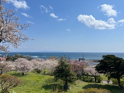 松前城-10.jpg