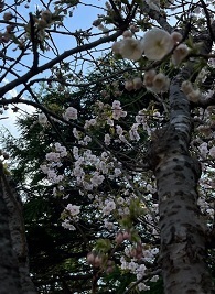 松前城-13.jpg