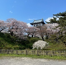 松前城-6.jpg