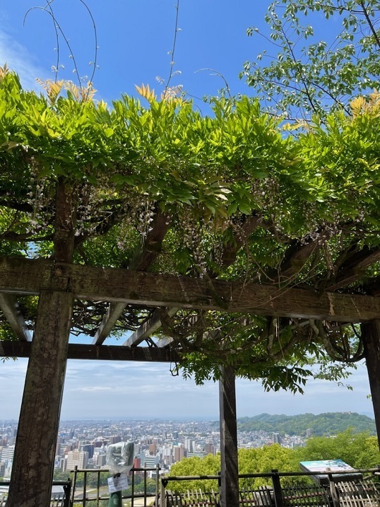 松山城2.jpg