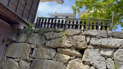 松山城4.jpg