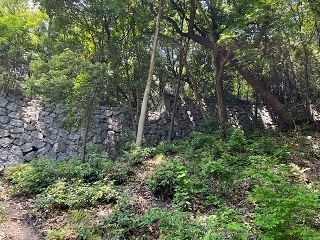 松山城8.jpg