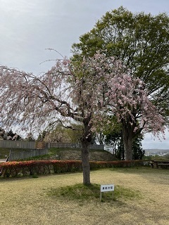 根城-6.jpg