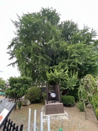 熊本城10.jpg