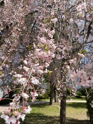 盛岡城-3.jpg