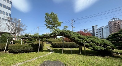 盛岡城-4.jpg