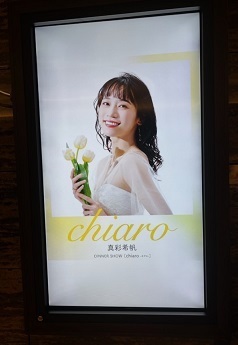 真彩DS８.jpg