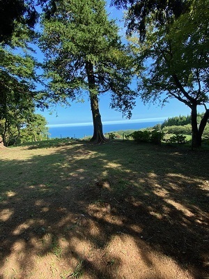 石垣山城ー9.jpg