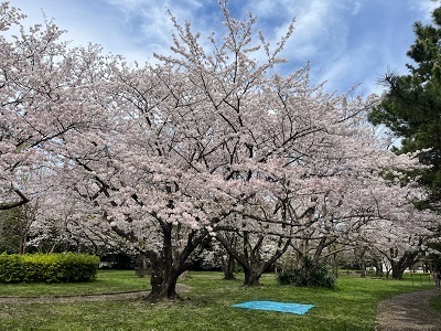 美浜2.jpg