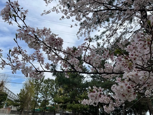 美浜4.jpg