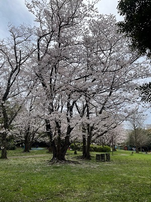 美浜5.jpg