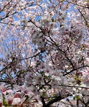 美浜公園2-1.jpg