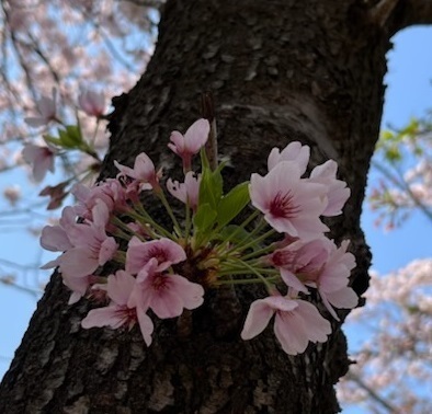 美浜公園2-2.jpg