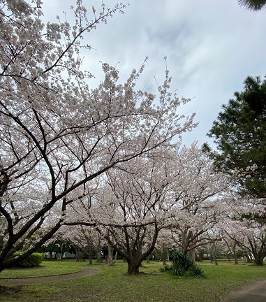 美浜公園2.jpg
