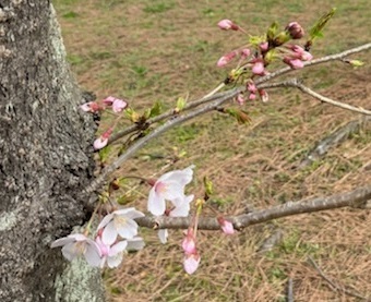 美浜公園2.jpg