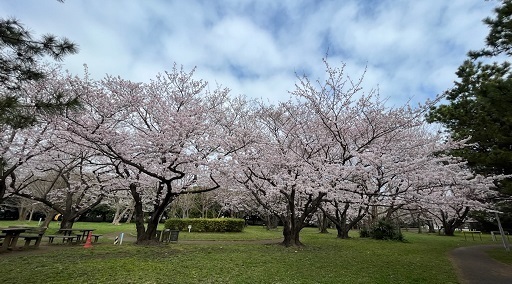 美浜公園3.jpg
