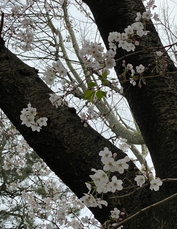 美浜公園3.jpg