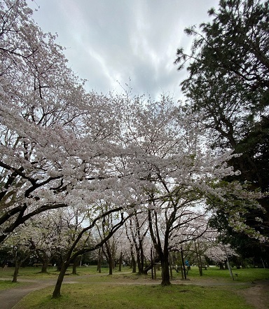 美浜公園4.jpg