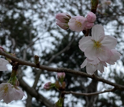 美浜公園5.jpg