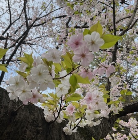 美浜公園5.jpg