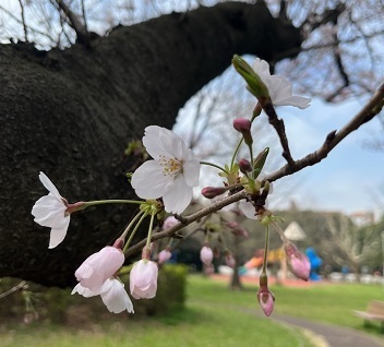 美浜公園6.jpg