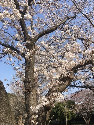 美浜２.jpg