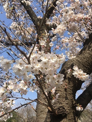 美浜３.jpg