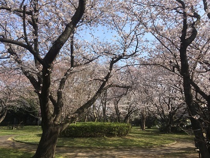 美浜４.jpg