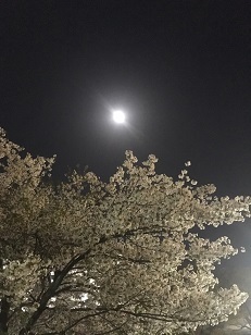 美浜５.jpg