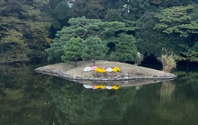 菊1-8.jpg
