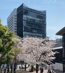 赤坂3.jpg