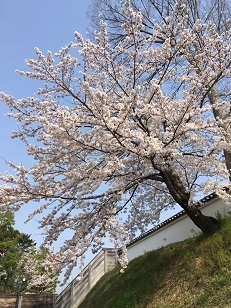 赤穂城ー２.jpg