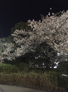 近所２.jpg