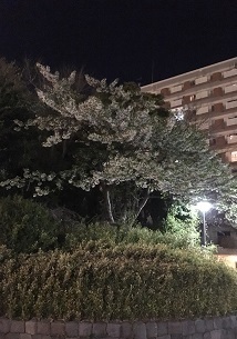 近所３.jpg