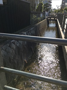道後温泉3.jpg