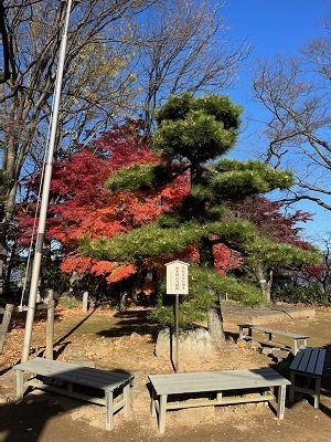 金山城-10.jpg