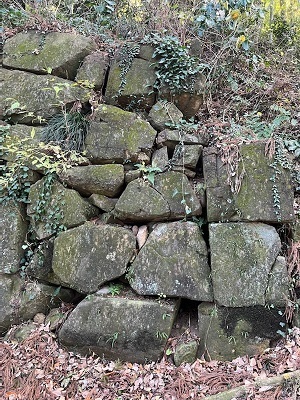 金山城-11.jpg