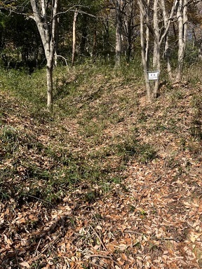 金山城-3.jpg