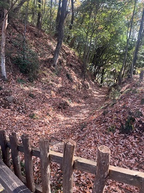 金山城-5.jpg